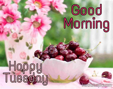 53 Good Morning Happy Tuesday Images Hd Wishes 2022 Best Status Pics
