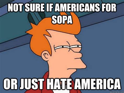 Not Sure If Americans For Sopa Or Just Hate America Futurama Fry Quickmeme