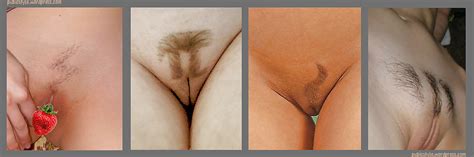 Pubic Hair Style 13 Pics Xhamster