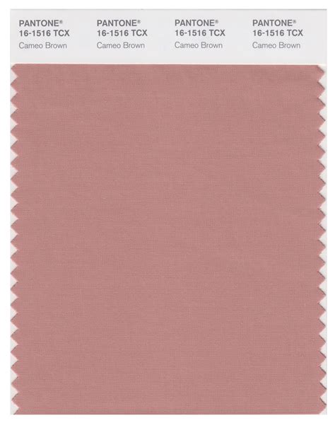 Pantone Smart 16 1516 Tcx Color Swatch Card Cameo Brown Single Issue Pantone Color Swatch