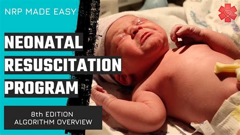Neonatal Resuscitation Program Nrp Algorithm Overview Th Edition
