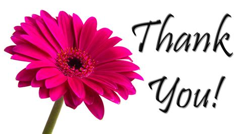 Beautiful watercolors decorated flowers, thank you greeting card design. Thank You Images & HD Pictures | Thank u Images Free Download