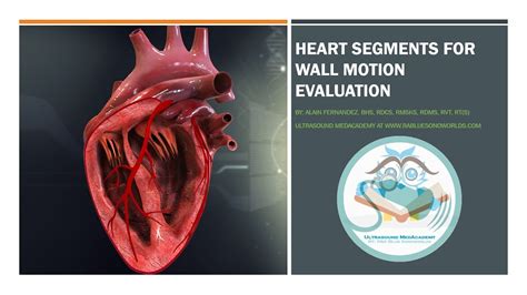 Heart Segments For Wall Motion Abnormalities Evaluation Youtube
