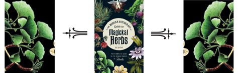 The Modern Witchcraft Guide To Magickal Herbs Your Complete Guide To