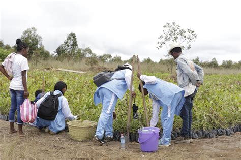 The People Of Madagascar Aim To Plant 60 Million Trees To Help The
