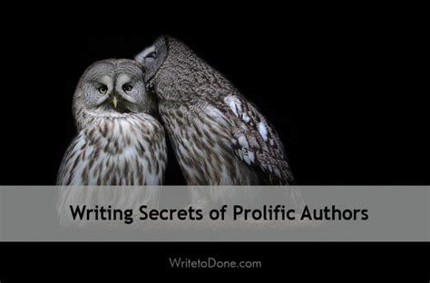 Writing Secrets Of Prolific Authors Wtd