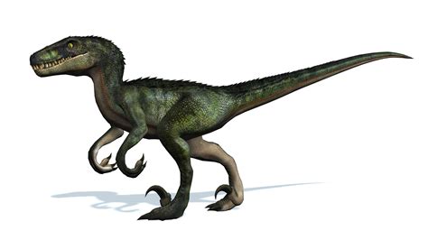 Actualizar Imagem Nome Dos Dinossauros Em Portugu S Br Thptnganamst Edu Vn