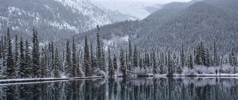 Download Wallpaper 2560x1080 Lake Forest Mountains Snow Landscape