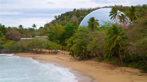 Visite Rincon O Melhor De Rincon Porto Rico Viagens 2022 Expedia