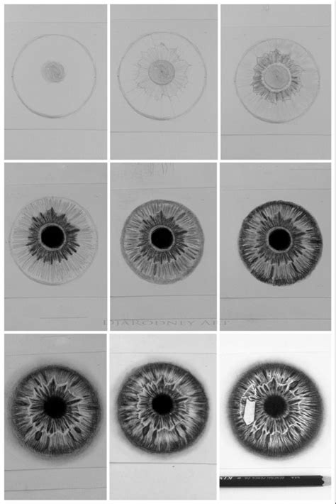 How To Draw Eyeball Step By Step Djarodneyart Art Drawings Eye