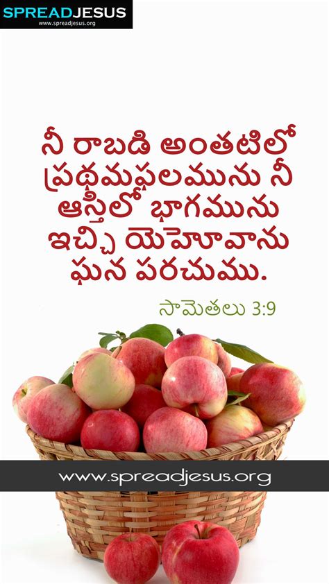 Proverbs 39 Telugu Bible Quotes సామెతలు 39 Mobile Wallpaper Facebook