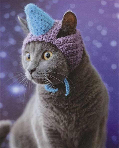 Cats In Hats From Knitting By Sara Thomas Cat Hat Cat