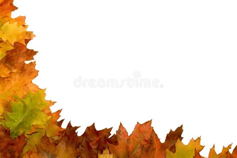 Autumn Leaf Border Stock Photo Image Of Autumnal Space 3270598