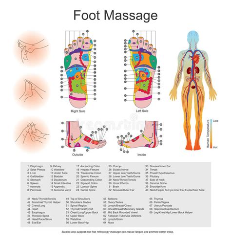 Foot Massage Stock Illustration Illustration Of Pressure 83394271