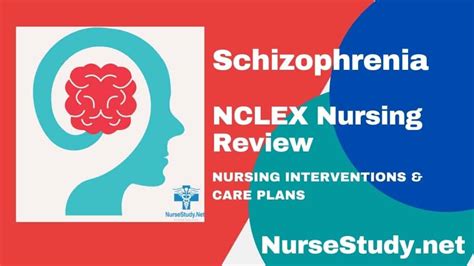 Schizophrenia Nursing Diagnosis And Nursing Care Plan Nursestudynet