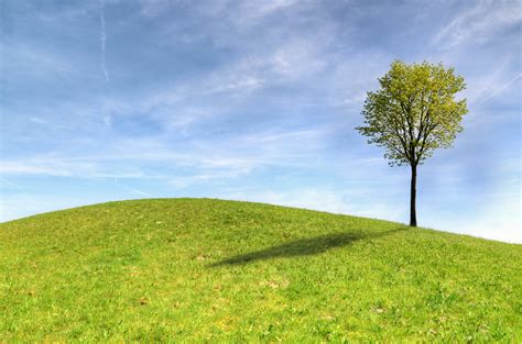 Green Tree On Green Grass Field Under White Clouds And Blue Sky · Free