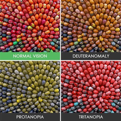 Youll Be Amazed How People With Color Blindness See The World 57 Pics