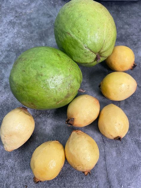 Yellow Guava Healthier Steps