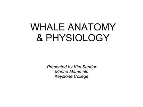 Ppt Whale Anatomy Physiology Powerpoint Presentation Free Download
