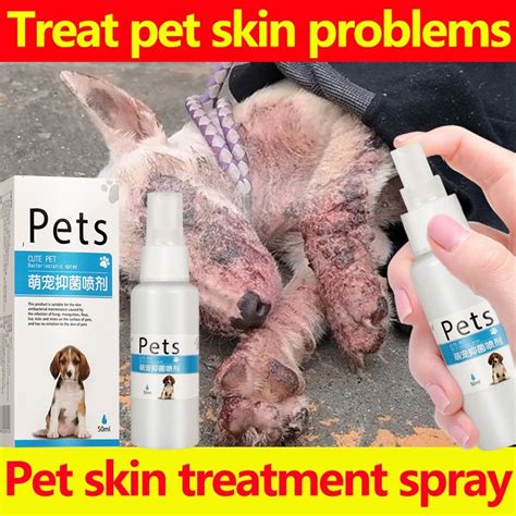 100 Effectivepet Skin Treatment For Dogs Pet Anti Fungal Spray Dog