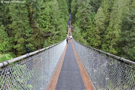 Stunning Capilano Suspension Bridge Park Vancouver Bc Inditales
