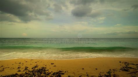 beautiful seascape beach during daylight sandy beach with seaweeds waves captured with slow