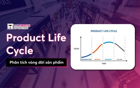 Product Life Cycle Phân Tích Vòng đời Sản Phẩm để Hiểu Rõ Chiến Lược Doanh Nghiệp