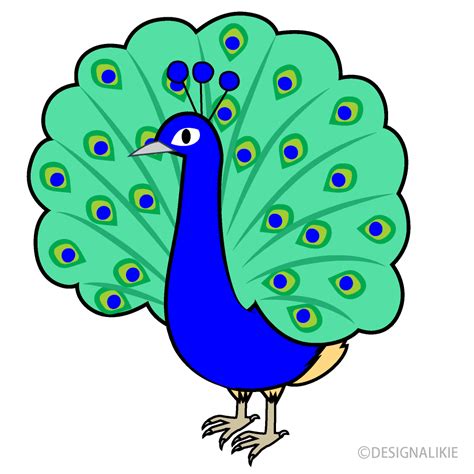 Cute Peacock Clip Art Free Png Image｜illustoon