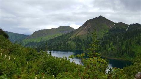 Flathead National Forest Whitefish Mt Top Tips Before You Go