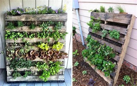 Cómo hacer una huerta con macetas. Cómo hacer una huerta vertical con pallet | Huertos ...