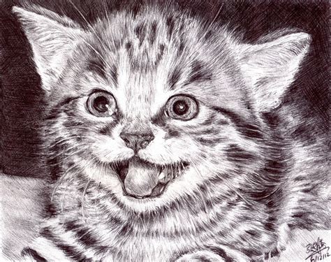 Learn how to draw a cute black cat wearing a witch hat! Ballpoint pen drawing of a cute kitten | My FB art page ...