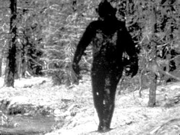 Bigfoot Claim Exposed As Hoax Cbs News