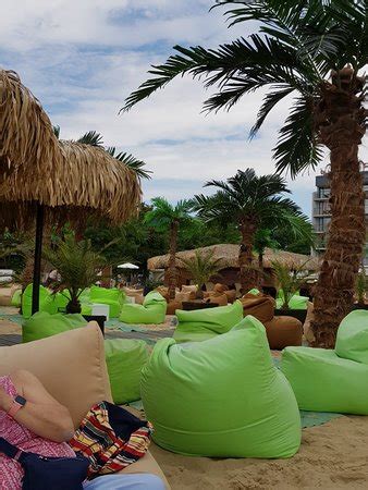 Bar, club & pub tours in sunny beach. Alibi Beach Bar (Sunny Beach) - 2020 All You Need to Know BEFORE You Go (with Photos) - Tripadvisor