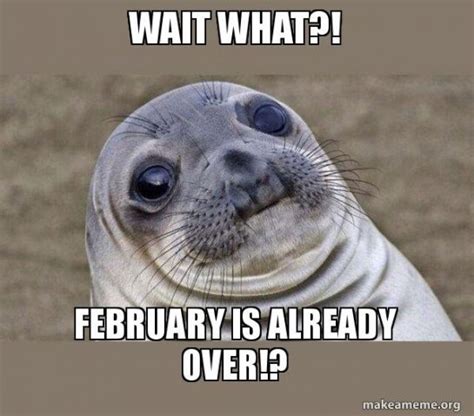 50 Funny February Memes That Will Leave You Laughing Out Loud