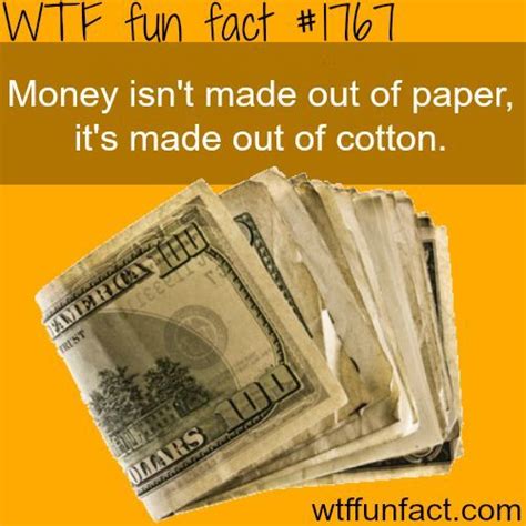 Pin By Wowgoodday On Interesting Facts Weird Facts Wtf Fun Facts