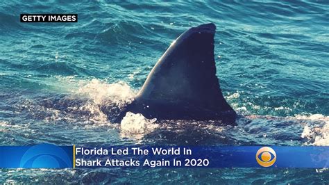 Florida Led The World In Shark Attacks Again In 2020 Youtube
