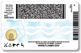 Id card issued by us department of certificate of naturalization. Florida's NEW Driver License and ID Card - Florida ...