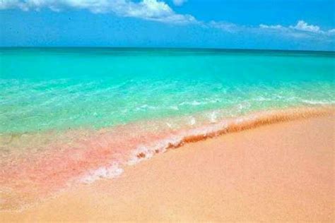 Beautiful Barbuda Pink Sand Pink Sand Beach Bahamas Dream
