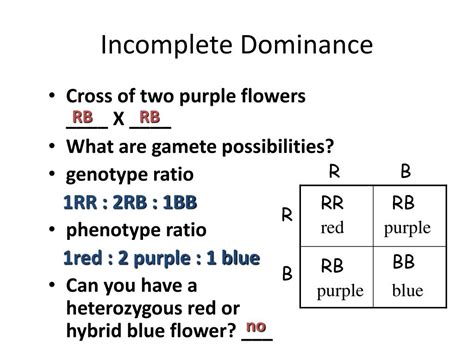 Now, another cross was made involving a red flowered four o'clock plant and a pink flowered four o'clock plant. PPT - Incomplete and Co-Dominance PowerPoint Presentation ...