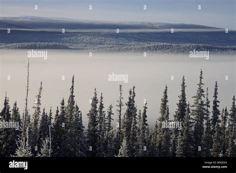 Canada Alaska Yukon Territory Winter Landscape Fog North America