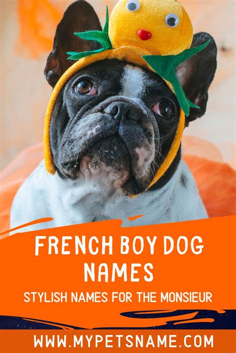 French Boy Dog Names Dog Names Boy Dog Names French Dog Names
