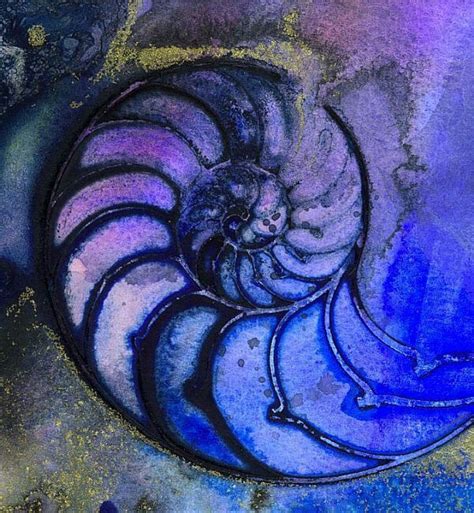So Pretty Shell Art Sea Art Nautilus Shell