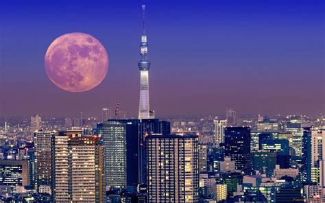 TOKYO skyline - Google Search | Tokyo skyline, City wallpaper, Tokyo night