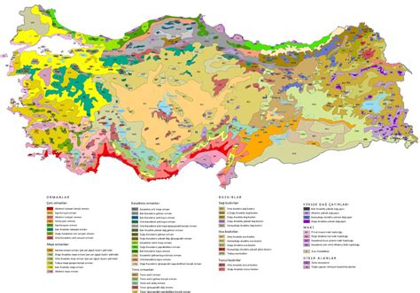 Türkiye Bitki ve Orman Haritası Tatil Rehberi