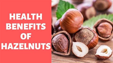 Learn About The Health Benefits Of Hazelnuts YouTube