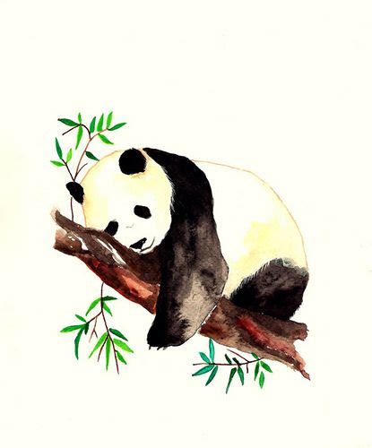 36 Idées De Panda En 2021 Panda Dessin Art De Panda Dessins Mignons