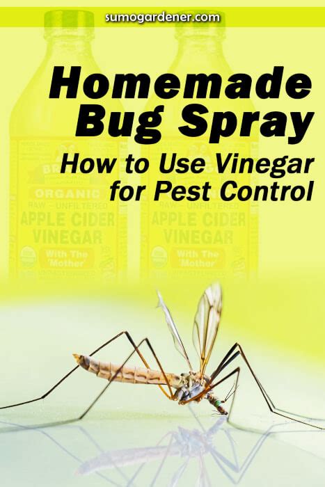 Homemade Bug Spray How To Use Vinegar For Pest Control Sumo Gardener