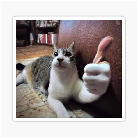 Apropo Mașinărie Transfer Cat Thumbs Up Meme Decor Susceptibil La Cuptor