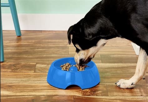 Free shipping on qualified orders. 18 Best Food Puzzles for Cats and Dogs