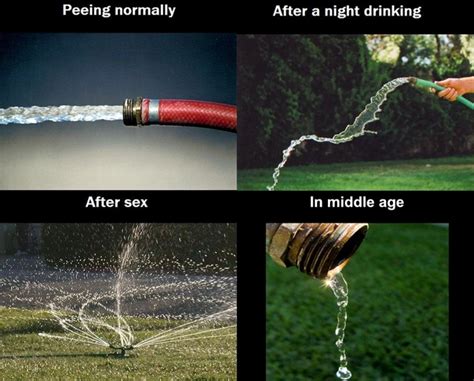 The difficulties of peeing as a male - Meme Guy